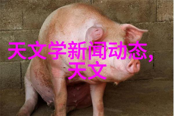 中国塑料网我是怎么发现塑料网上的奇妙世界