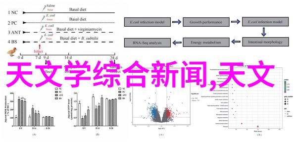 多层住宅的水電系統設計應該考量哪些因素