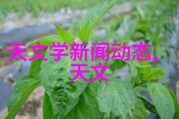 高压蒸汽灭菌锅规格型号研究与应用