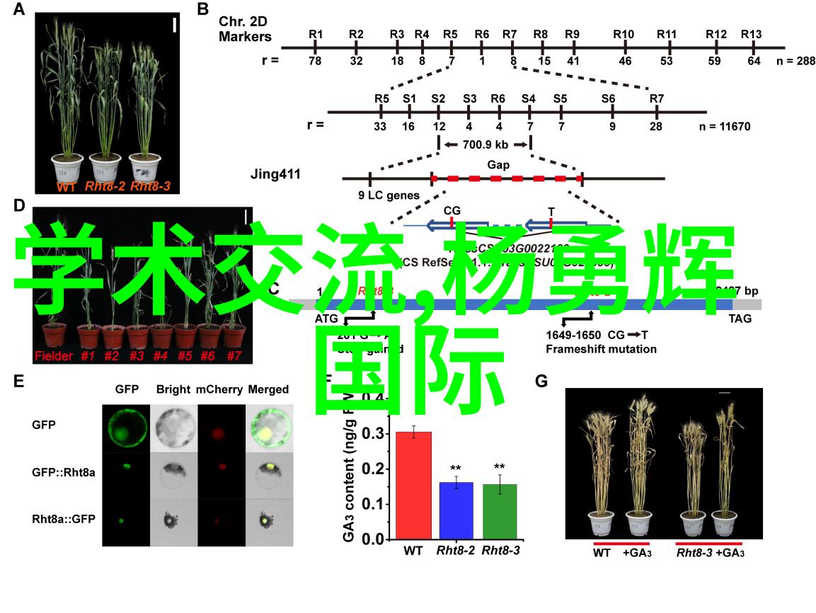 装修水电设计图我来帮你画个水电图吧