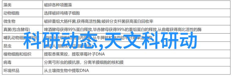 国产麻婆豆腐传媒我来给你介绍一款让你的味蕾舞动的应用