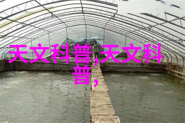 如何利用2021年全国摄影大赛网站上的资源提升自己的技术水平