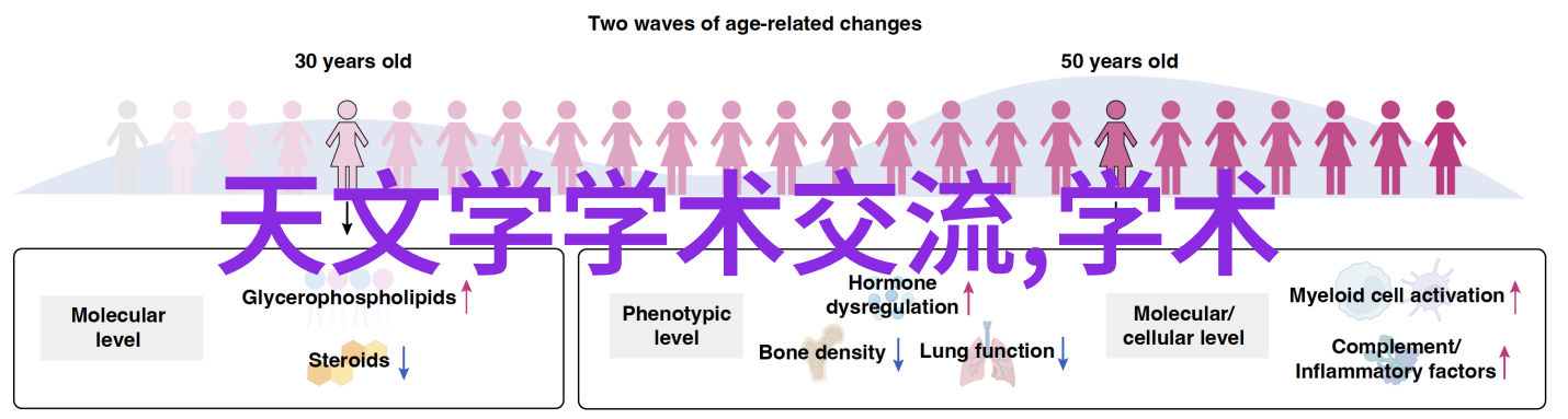 探索镜头世界摄影设备的奇妙变革