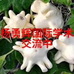 在黑白世界里寻找色彩对比色的运用技巧