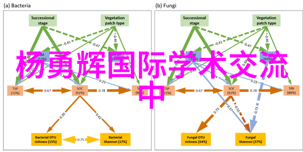 镜头无界探索全球顶尖摄影杂志的艺术与魅力