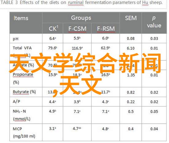 婚礼跟拍我是如何在大型酒店的豪华宴厅里用一支相机捕捉新人最闪亮的瞬间的