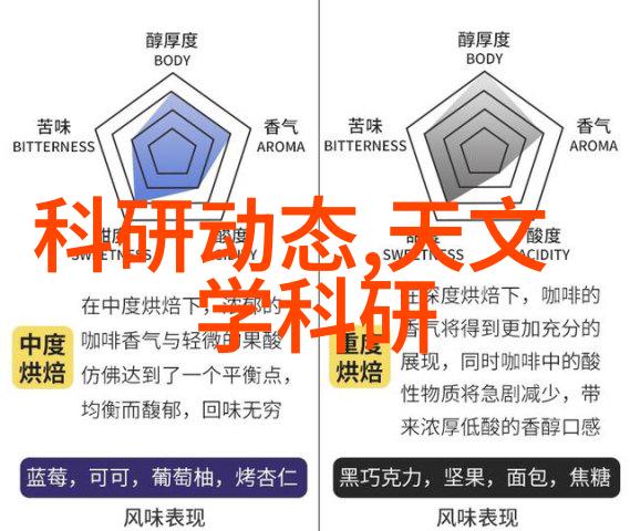 如何在有限空间内布置高效能的网红式家庭烹饪区