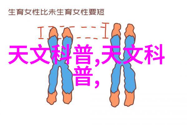 掌握光影之法摄影基础知识入门与技术探究