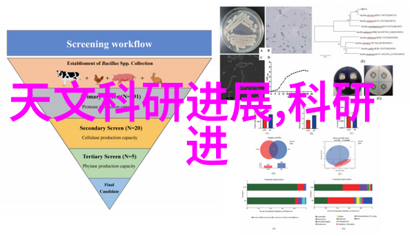 2022全国青年摄影大赛我是如何在光影中找到自我的