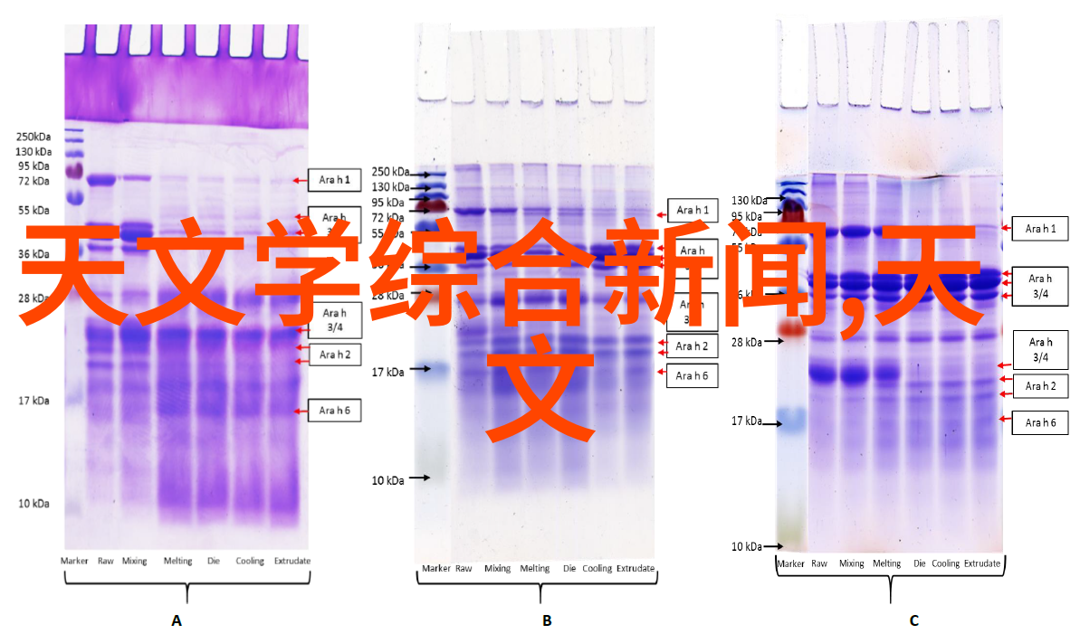 古典装修设计回响中的雅致