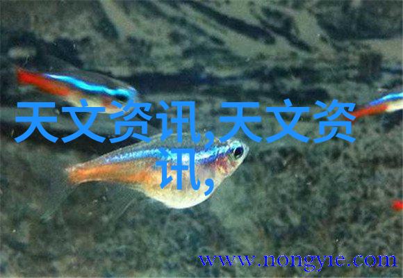 探秘水质检测费6B-3000A型智能多参数水质测定仪解锁清洁生活的秘密