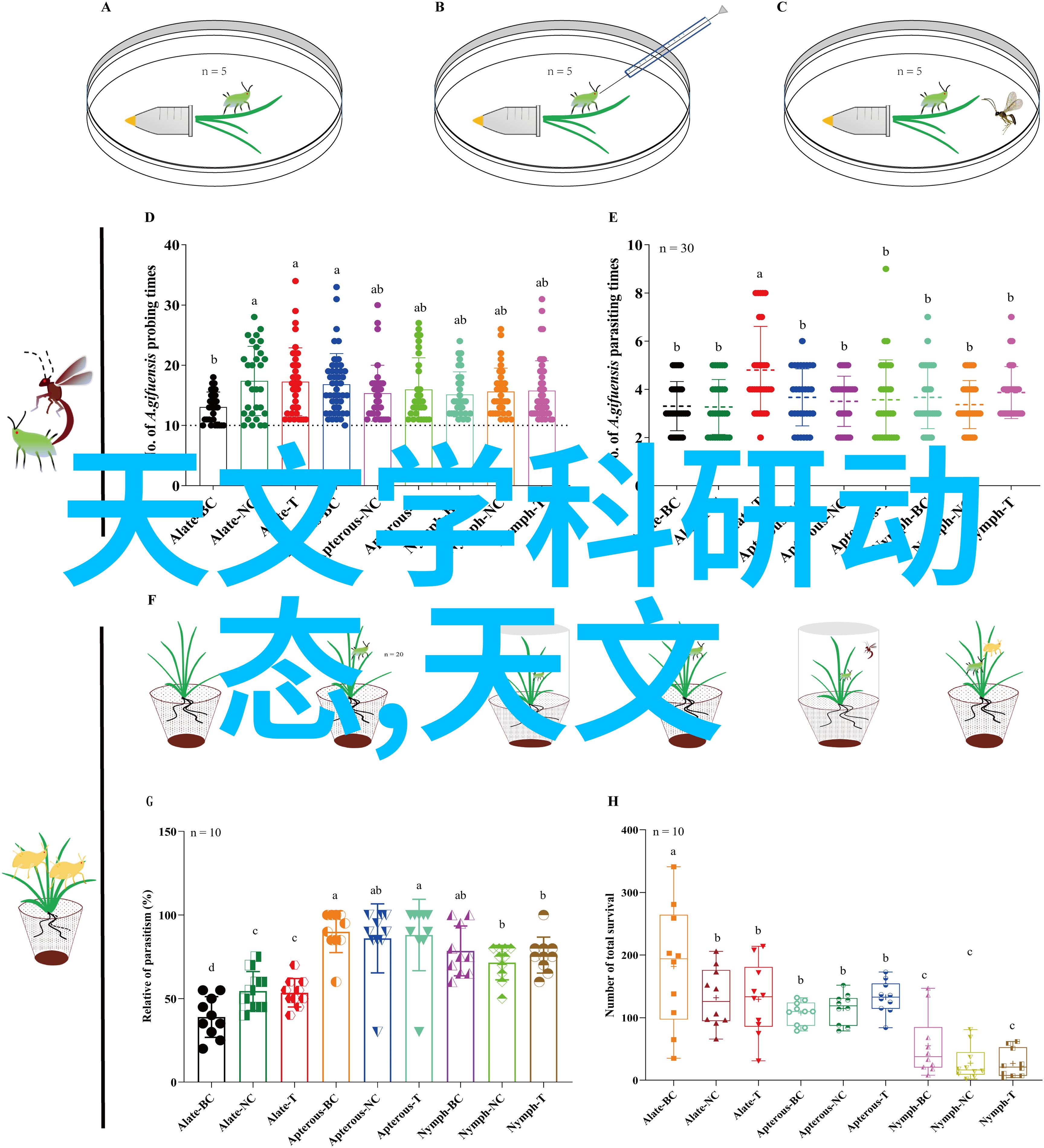 自然风情客厅装修设计效果图更美观实用的创新电视柜收纳方案分享