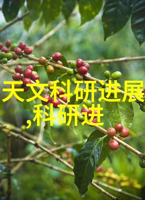 高压灭菌生物指示剂生化防护的坚强守护者