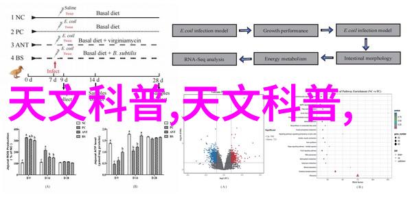 振动电机传递能量的灵敏工具