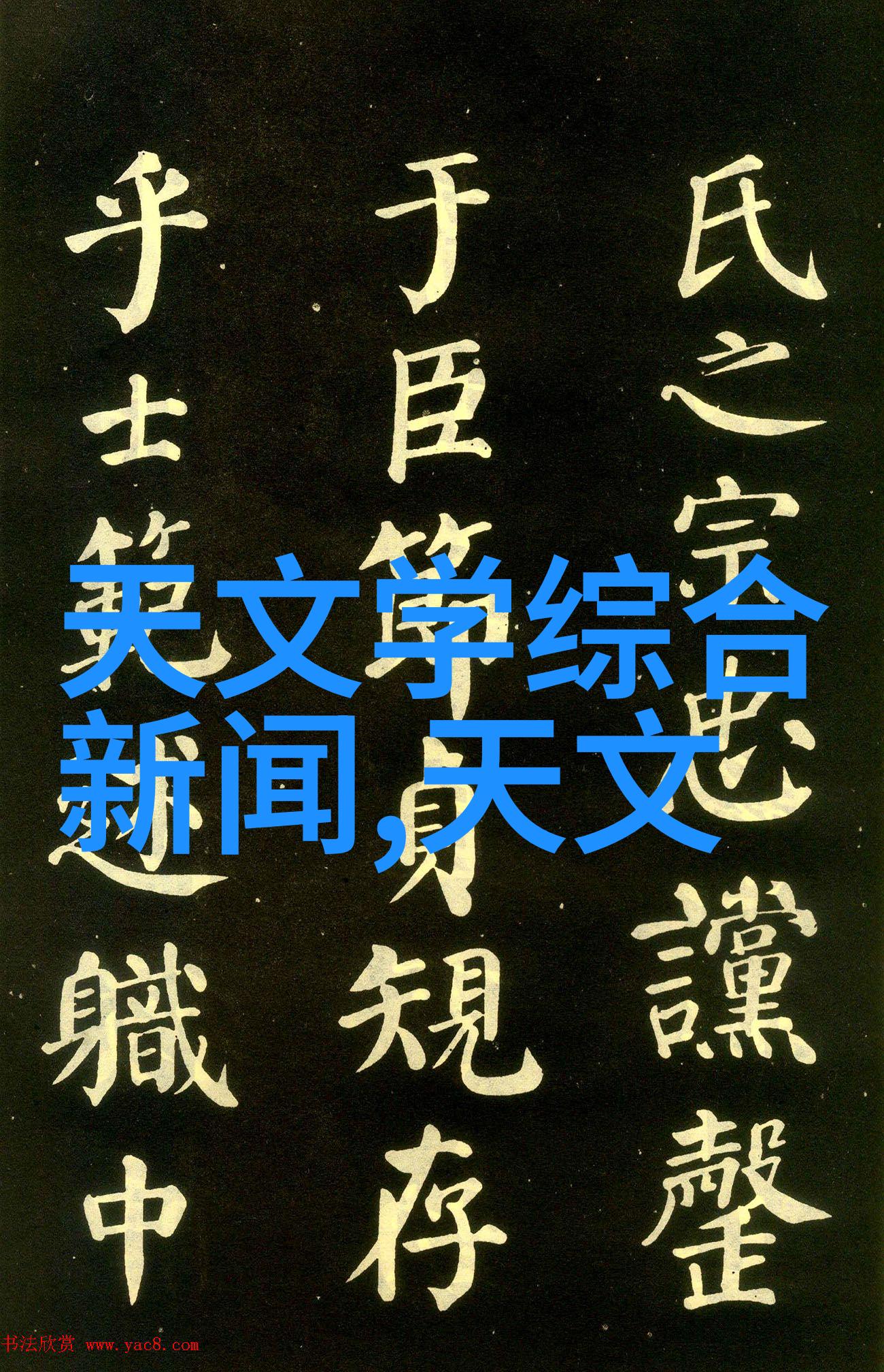 如何评价RX100相机的手动对焦功能和自动对焦速度