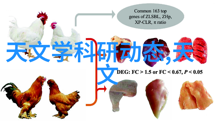 别墅庭院设计私人园艺自然景观布局安全通道规划