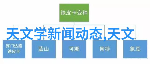 新手如何选择相机 - 初学者指南揭秘相机购买的关键要素