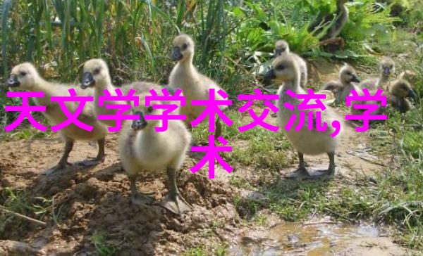 翻开蜂birds杂志解密其独树一帜的人物摄影风格