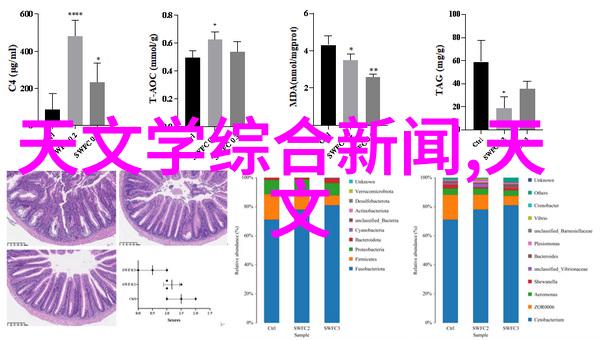 翩跹蝴蝶兰解读花语中的浪漫与诗意