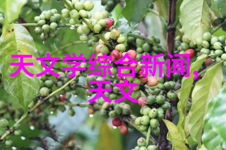 不锈钢波纹丝网填料密度优化技术与应用概述