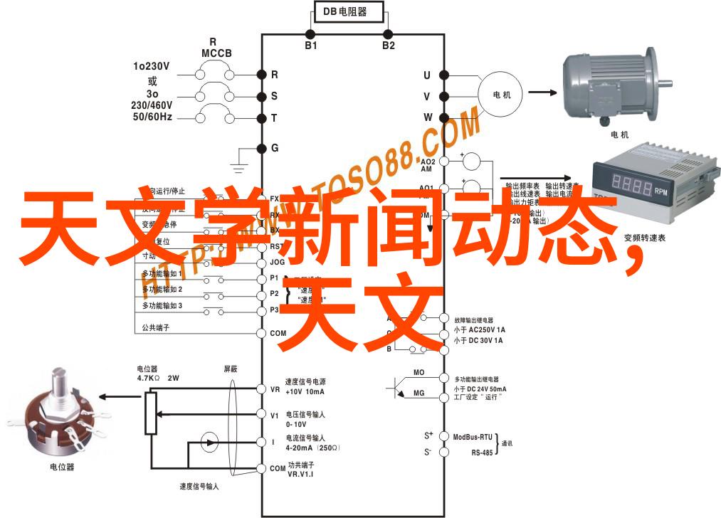 皇家盛宴之下秘密交响