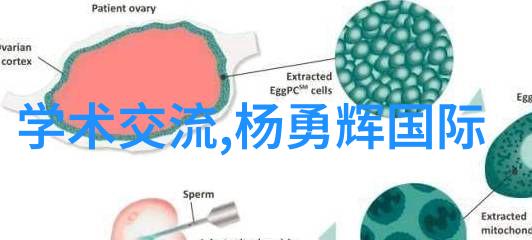 传奇sf-穿越时空的英雄传奇sf世界的奇幻探索