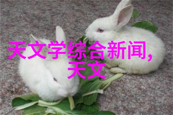 摄影器材展镜头下的艺术奇遇