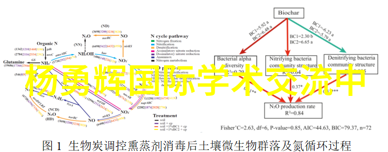 怎样清洗洗衣机我的家电卫生小贴士