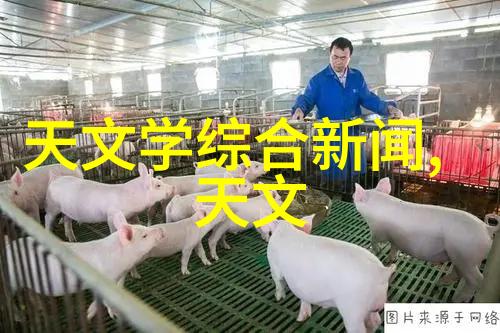 保养不易的金属之友醇酸防锈漆的秘密力量