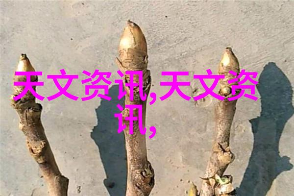 水利工程技术与管理创新人才培养体系构建在安徽水利水电职业技术学院