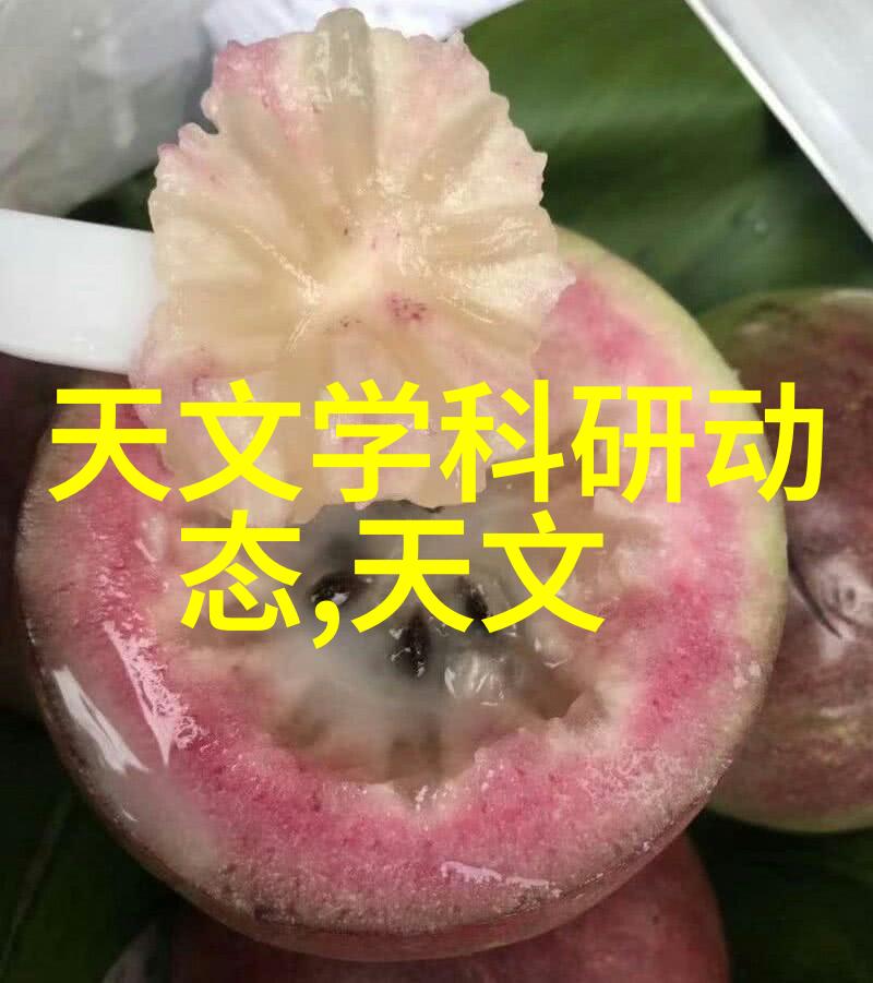 冰箱配件大全完美搭配你的厨房生活