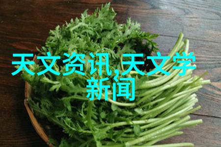 丝网填料阻力-丝网介质的流体动力学研究与应用