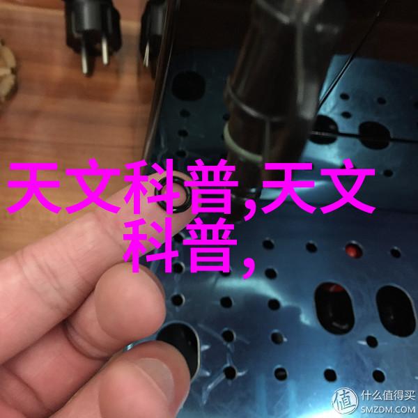 绽放的秘密玫瑰爱情与永恒之谜