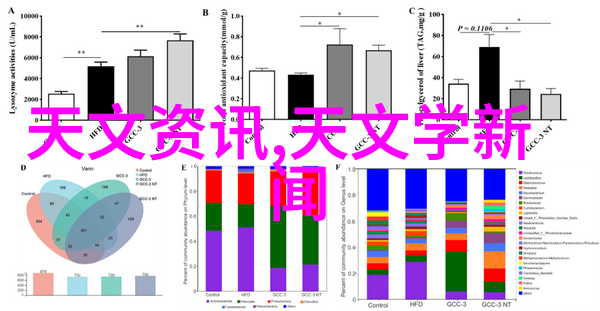 国外机器人连续工作20小时突然倒下我亲眼见证了这台机器人的崩溃它是如何在一夜之间从效率的化身变成停滞