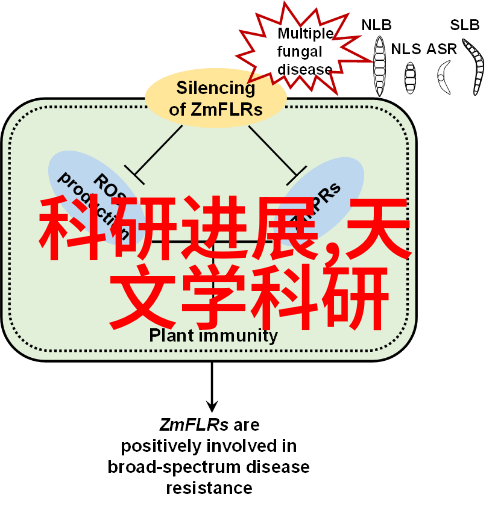 天文学科研动态北京师范大学何香涛付建宁教授光芒闪耀于台湾的学术舞台