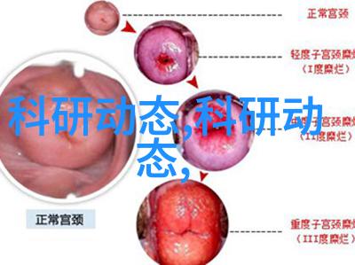 水电施工流程和标准之谜揭秘工程前行的每一步