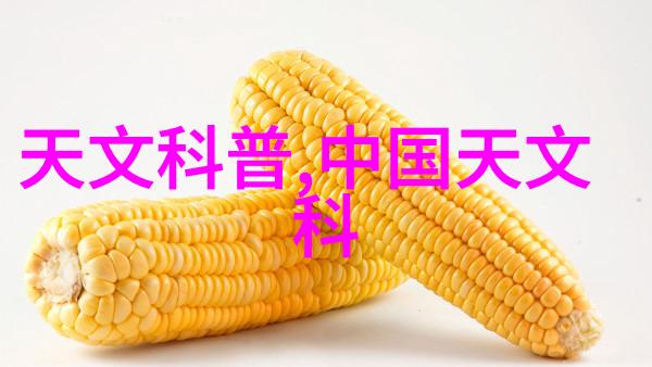 可以在不破坏营养的情况下利用微波烹饪食物