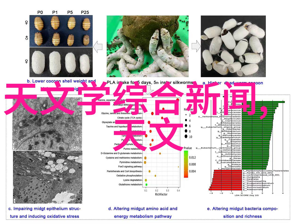 生活点滴我是如何在小区的搅拌站里发现快乐的