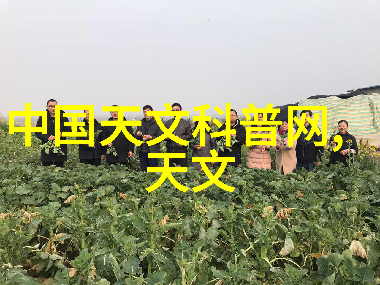 超高温瞬时灭菌机在食品工业中的作用和优势分析