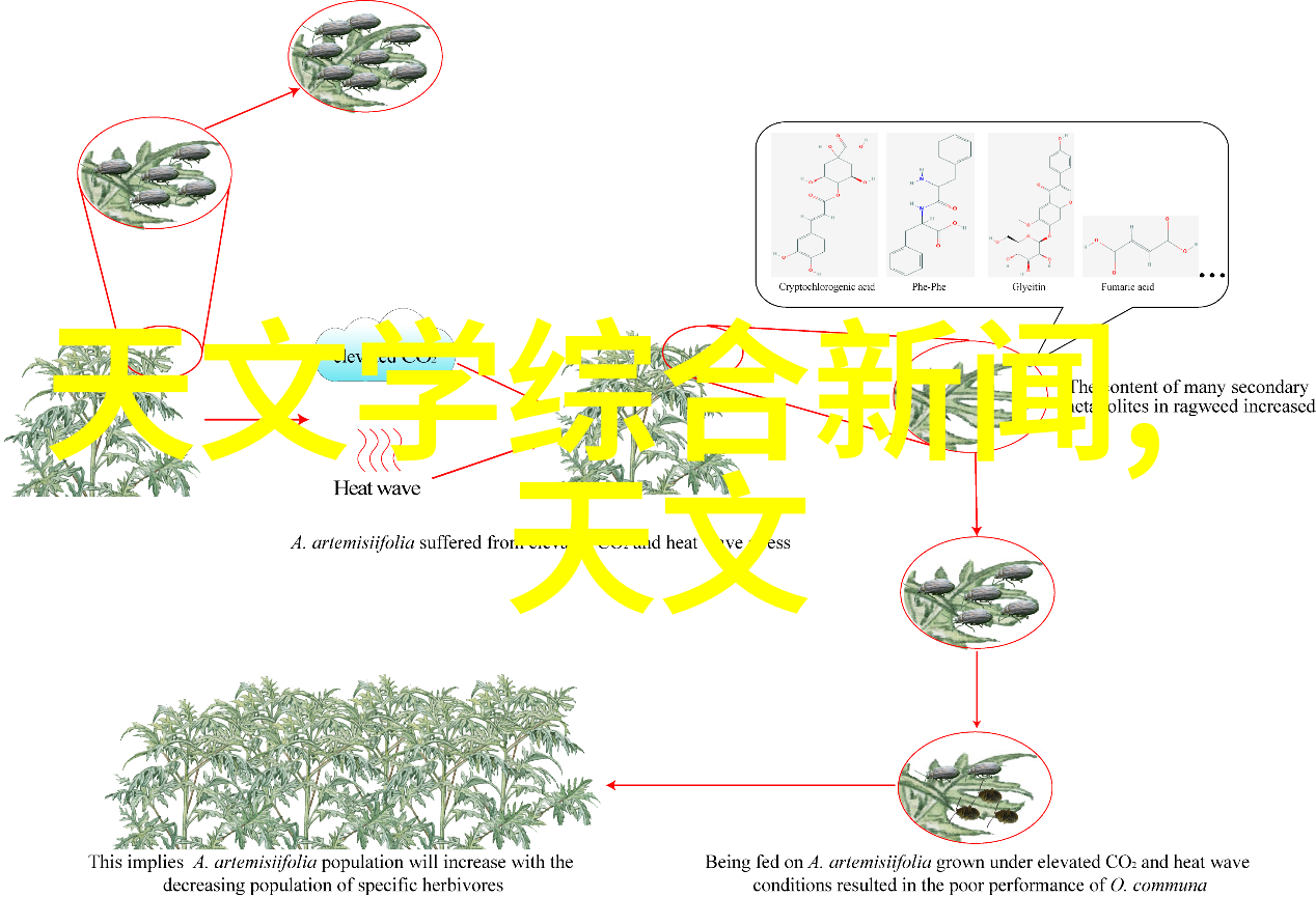 挑选高质量扣件式脚手梯的重要性及方法介绍