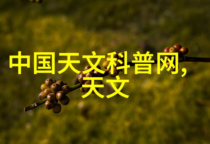 水泥板的坚韧与美学探索建筑装饰中的实用材料艺术