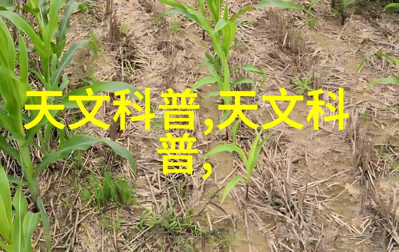 厨卫头条四重防护厨房安全新篇章集成灶革新大师