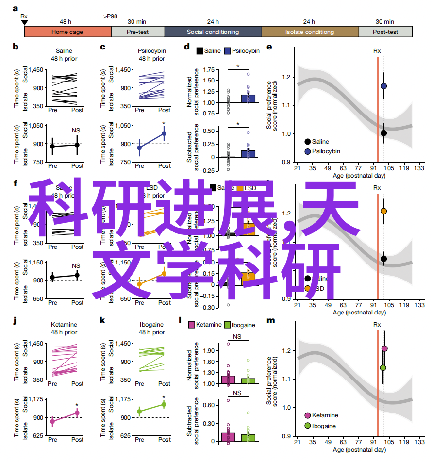 厨房与卫生间的完美结合家居设计中的厨卫空间规划