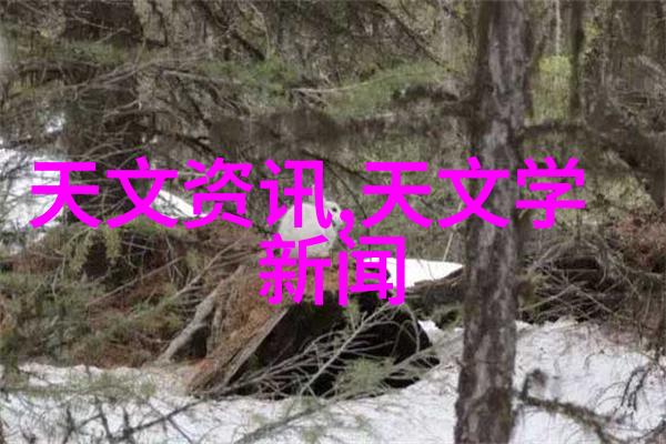 便携式快速检测仪精确测定水质总磷含量轻松掌握环境质量