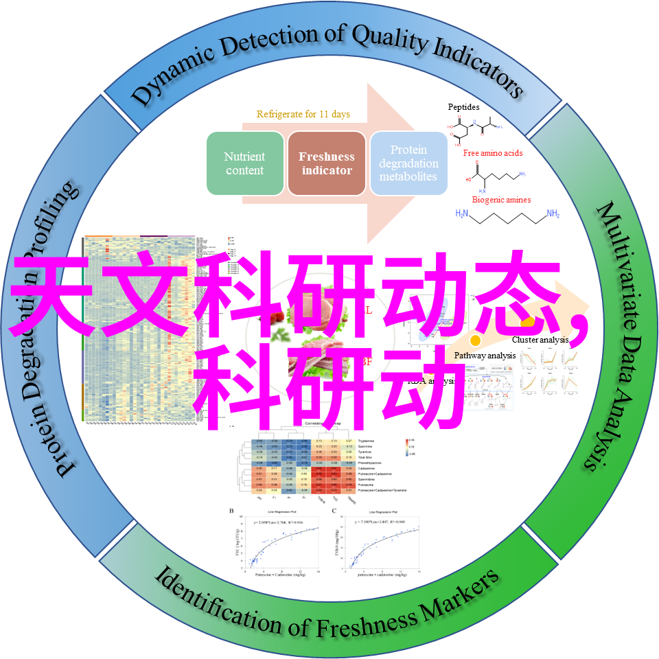 成都装修设计-川味居家融合传统与现代的成都装修艺术