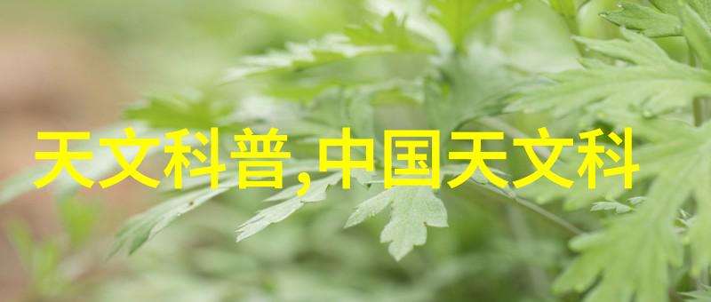 电力设备-变频效率的新篇章低压变频器设备的应用与优化