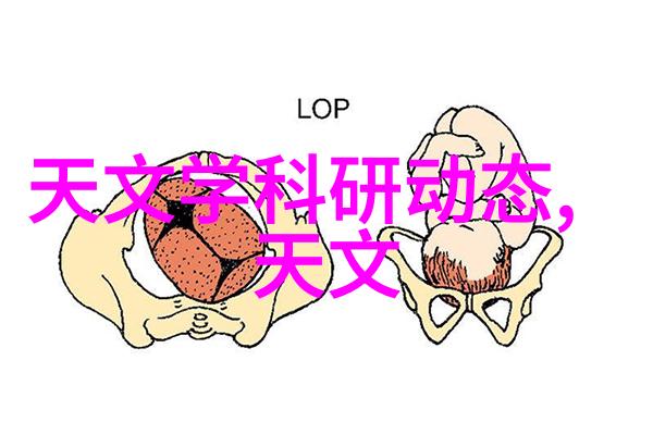 员工能力测评系统智能人力资源管理工具