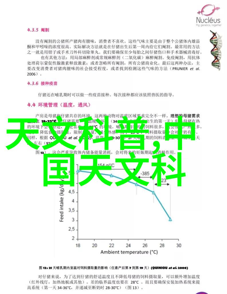 水电改造工程中的关键注意事项探究安全性可持续性与技术创新融合