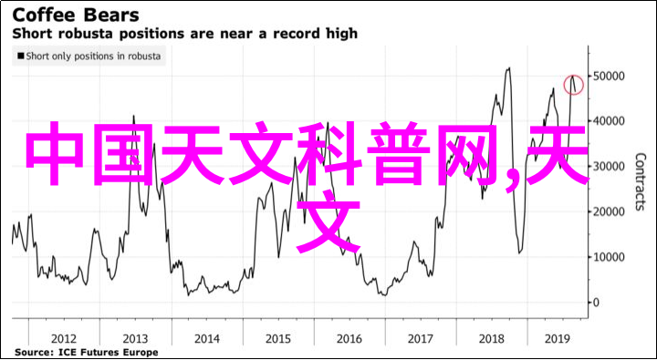 在国际交流方面中南财经大学与哪些国外高校建立了合作关系呢