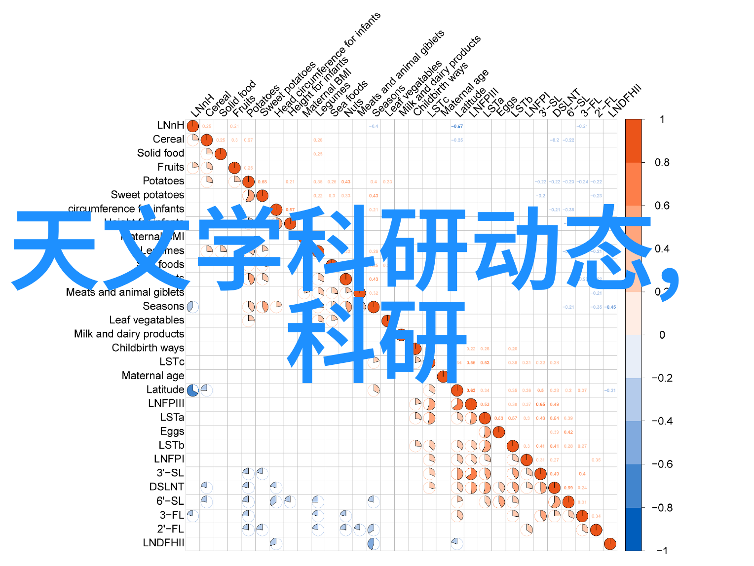 送给老师的花心意满满的花束